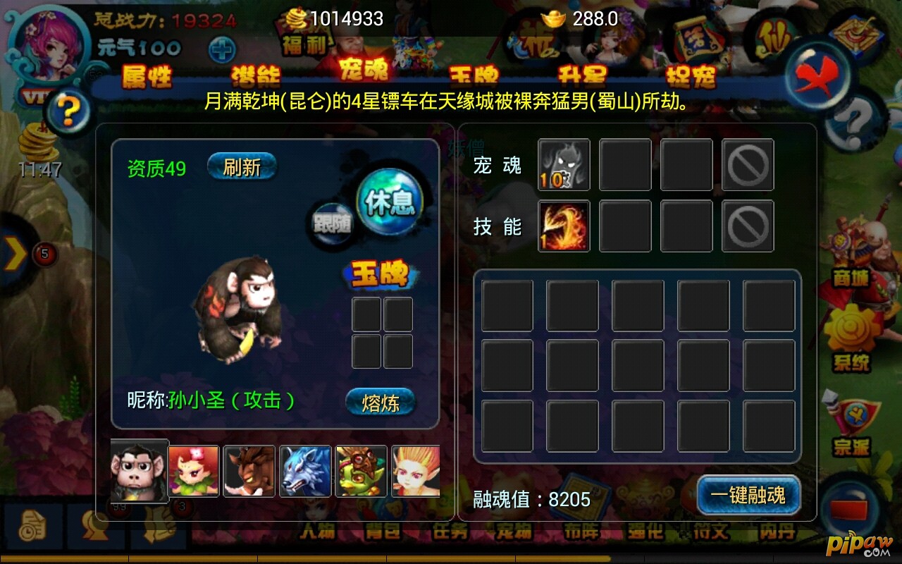 宠物技能